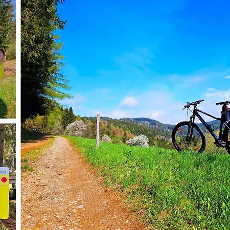 بيت للعطل Beim Michl In Mauthnereck *