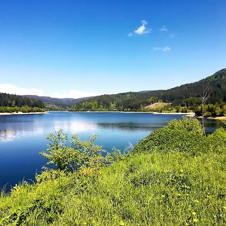 Beim Michl In Mauthnereck بيت للعطل *