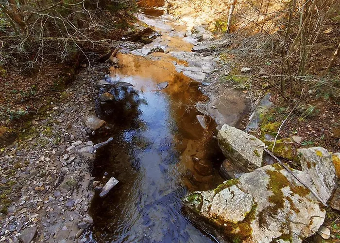 Beim Michl In Mauthnereck *