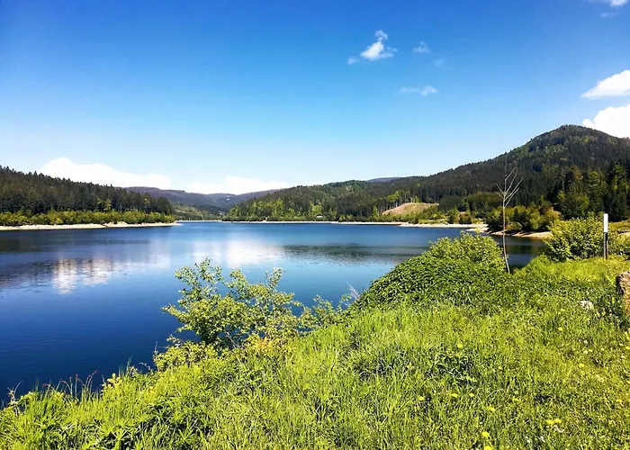 Beim Michl In Mauthnereck Holiday home *