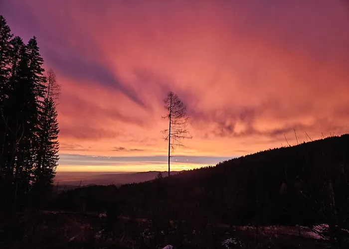 Beim Michl In Mauthnereck